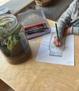 montessori-steam-enrichment-davinci-kids