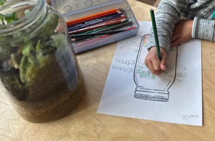 montessori-steam-enrichment-davinci-kids