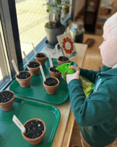 Child watering seeds in garden flower pots