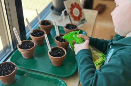 Child watering seeds in garden flower pots