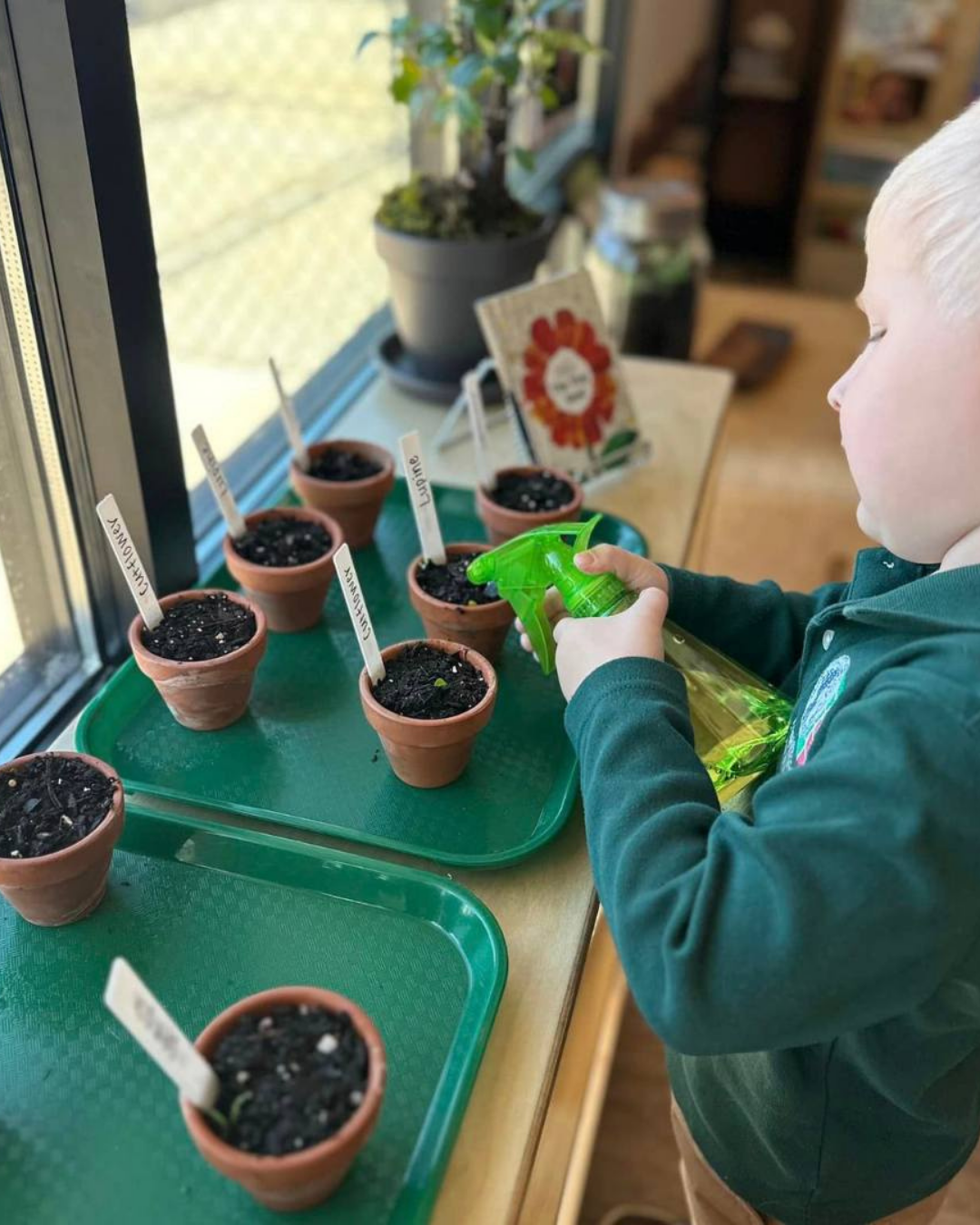 Child watering seeds in garden flower pots