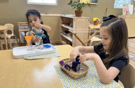 Children working with Montessori materials