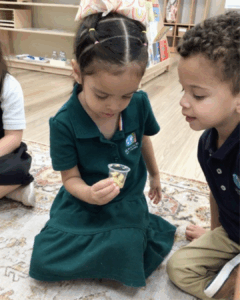 social-learning-in-toddlerhood