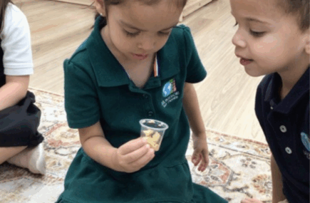 social-learning-in-toddlerhood
