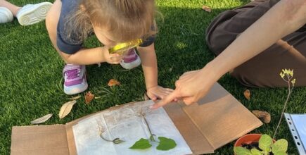 Screen Time in the Montessori Classroom
