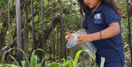 Planting Seeds of Creativity