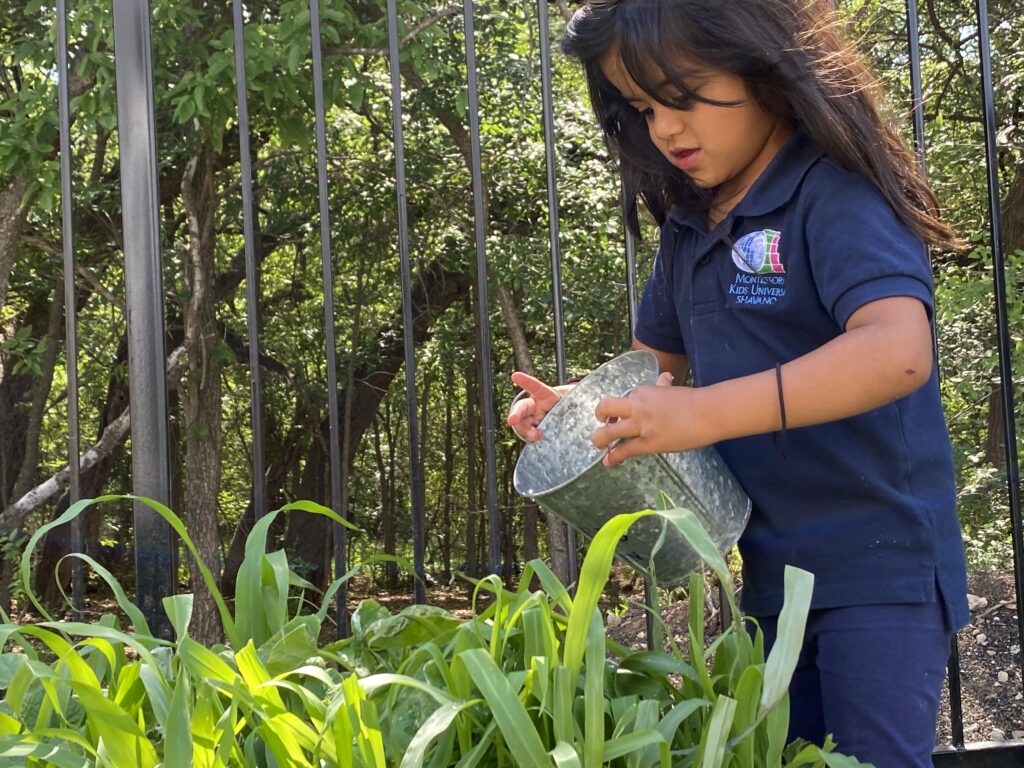 Planting Seeds of Creativity